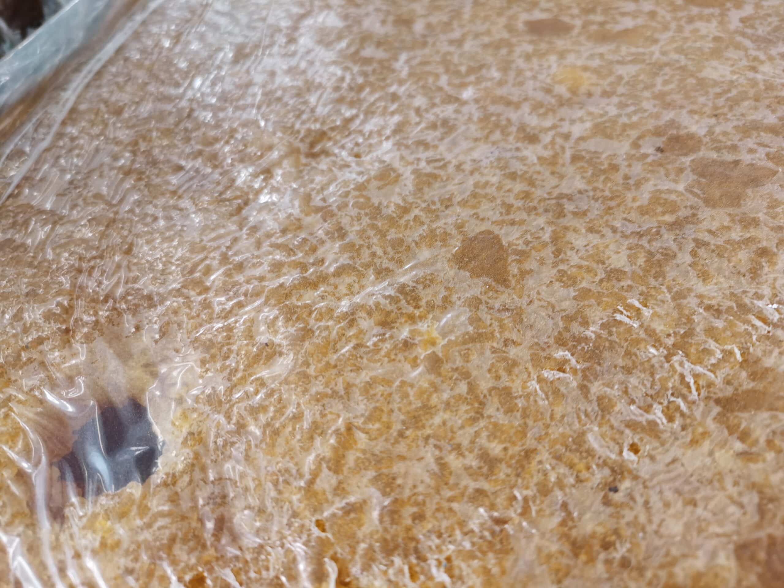 Premium eco-friendly raw natural rubber mass for high-density yoga mat production.